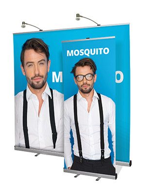 Mosquito_Small_and_Large_300_x_400